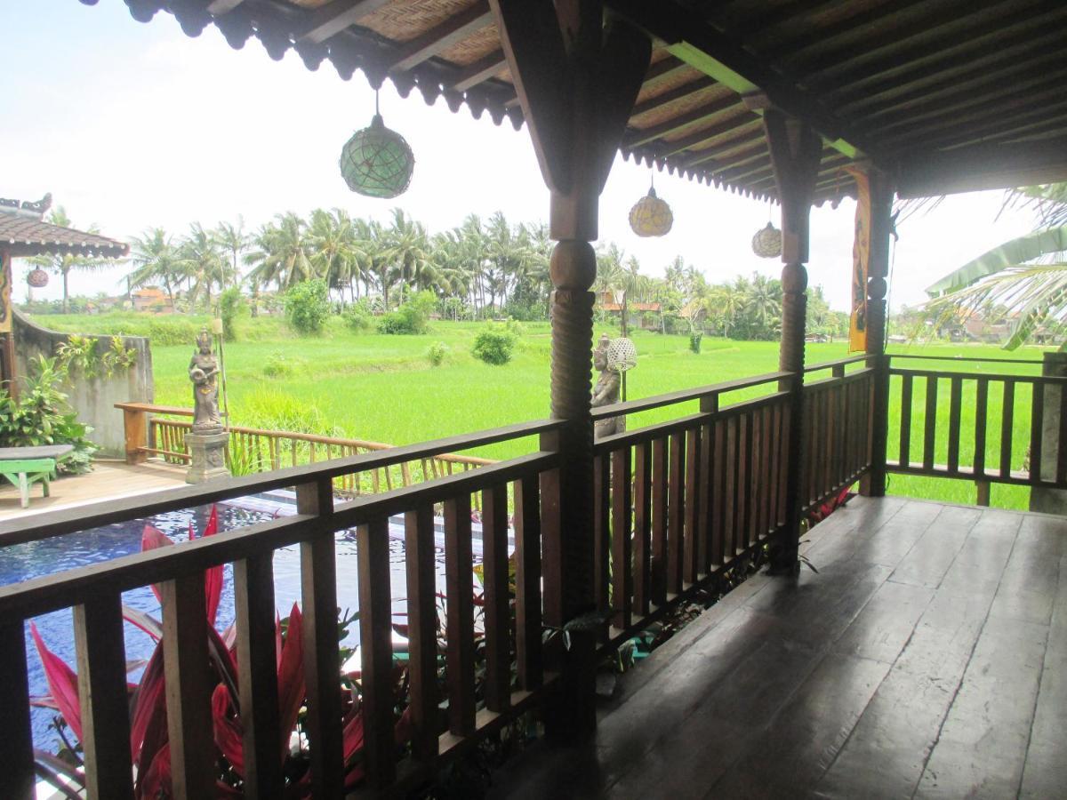 Green Paddy Hostel & Villa Ubud Exteriér fotografie