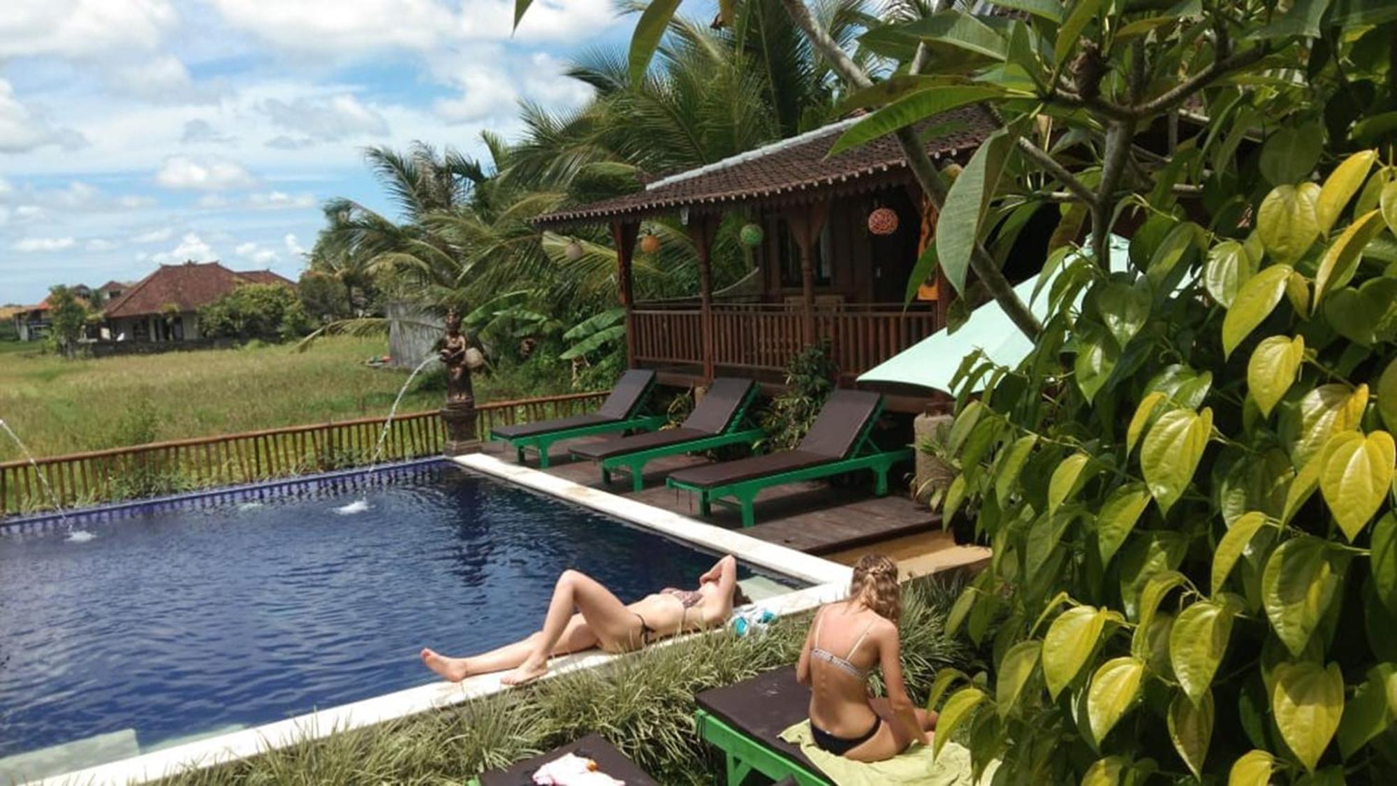 Green Paddy Hostel & Villa Ubud Exteriér fotografie