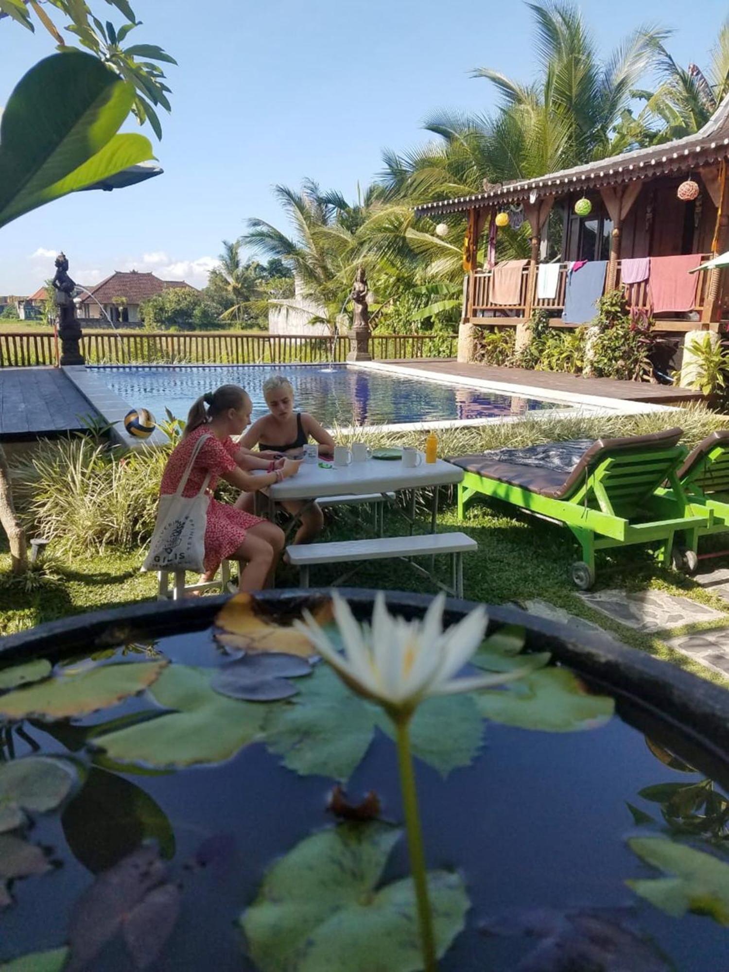 Green Paddy Hostel & Villa Ubud Exteriér fotografie