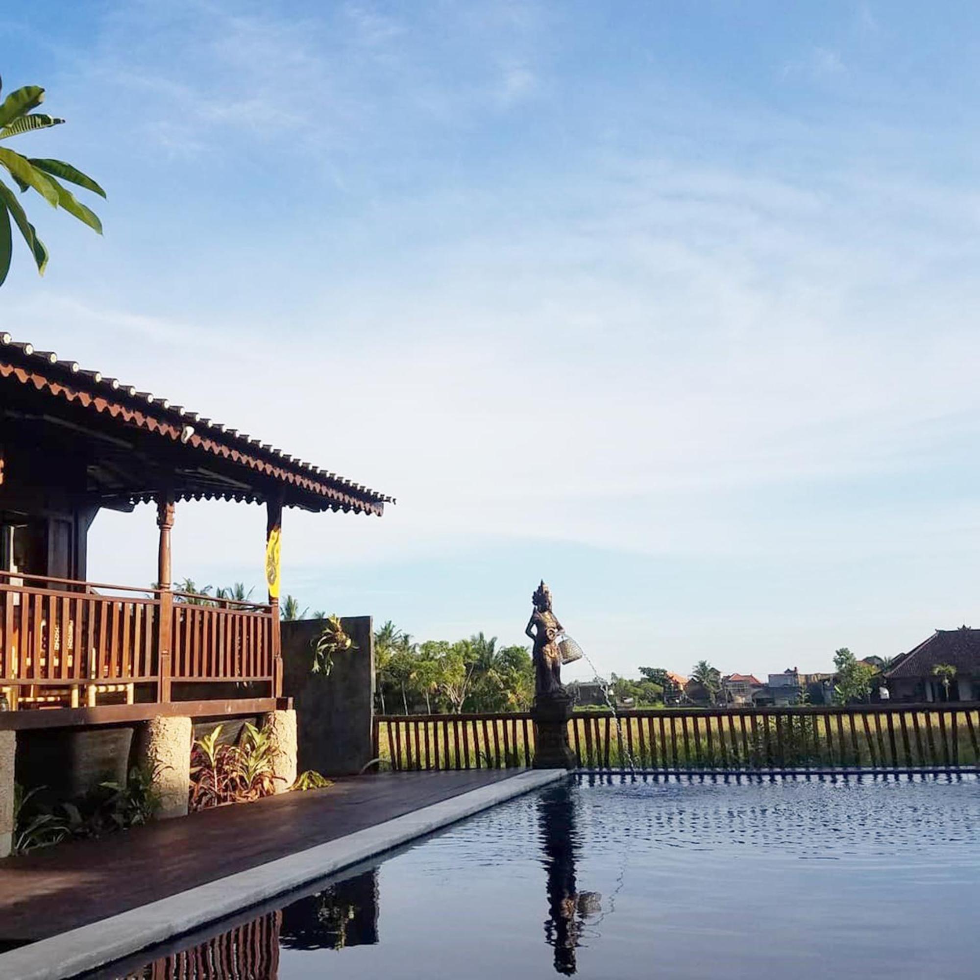 Green Paddy Hostel & Villa Ubud Exteriér fotografie