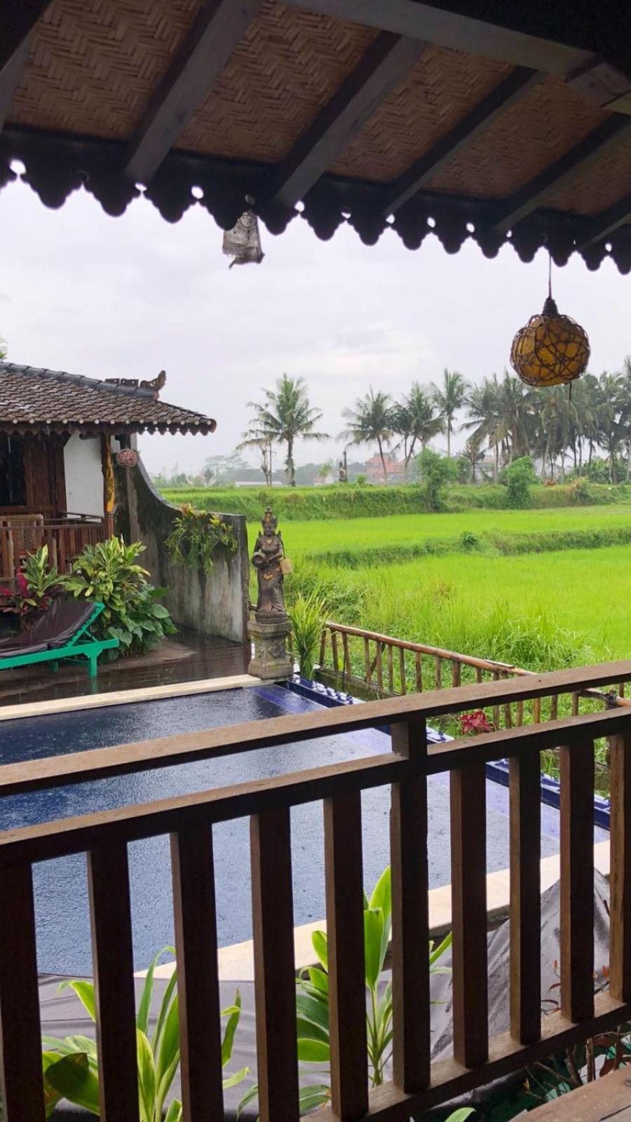 Green Paddy Hostel & Villa Ubud Exteriér fotografie