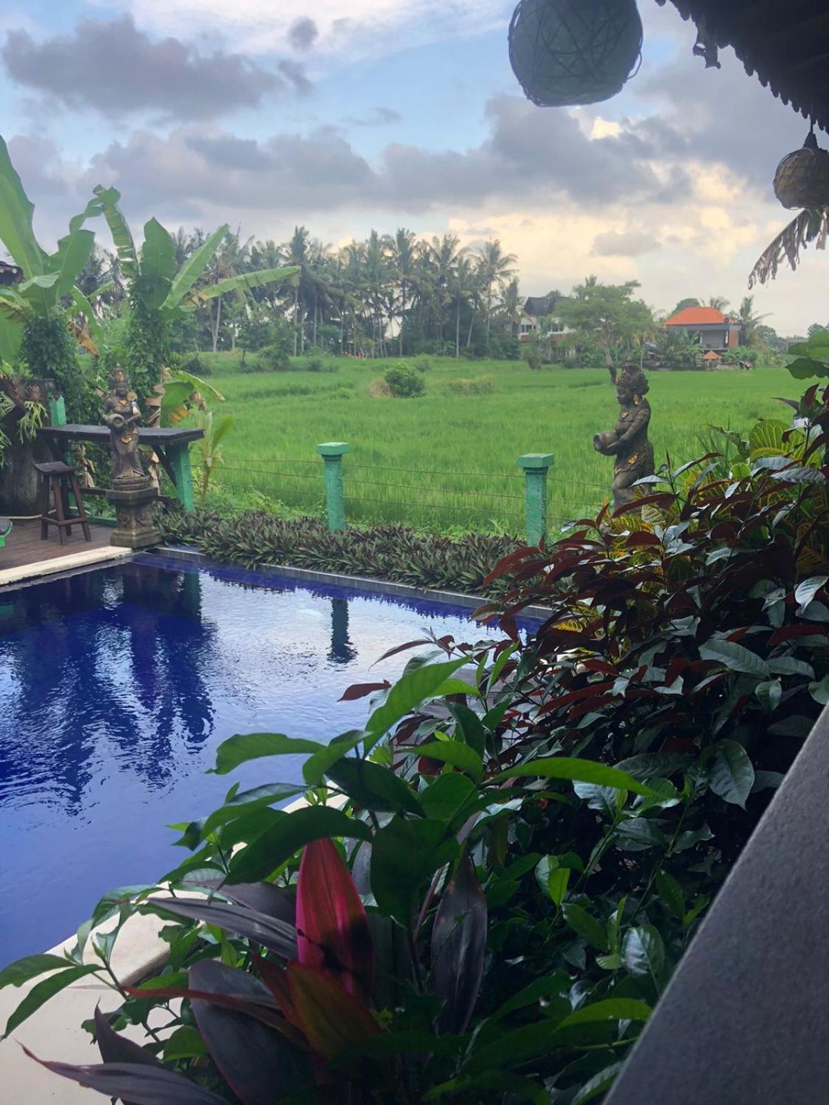 Green Paddy Hostel & Villa Ubud Exteriér fotografie